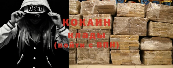 ECSTASY Алзамай