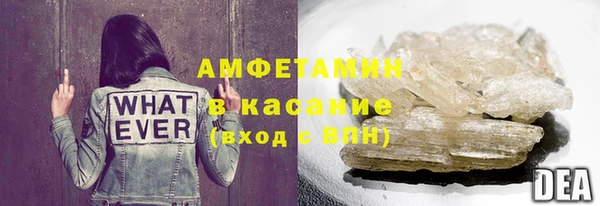 ECSTASY Алзамай