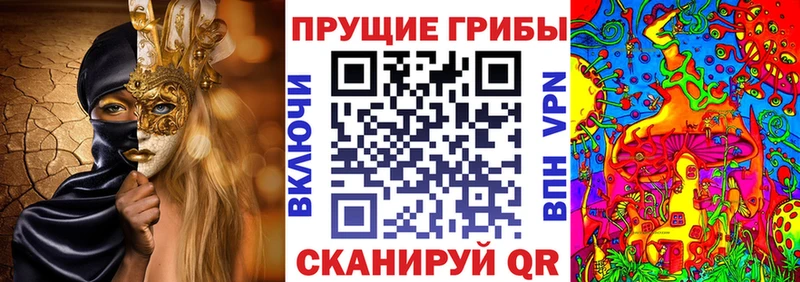 Псилоцибиновые грибы Psilocybe Пущино