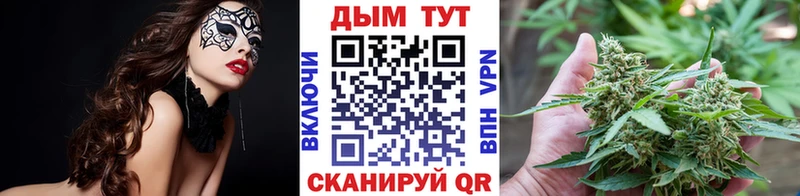 нарко площадка какой сайт  закладки  Пущино  Шишки марихуана Ganja 
